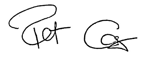 European Parliament President Pat Cox Signature
