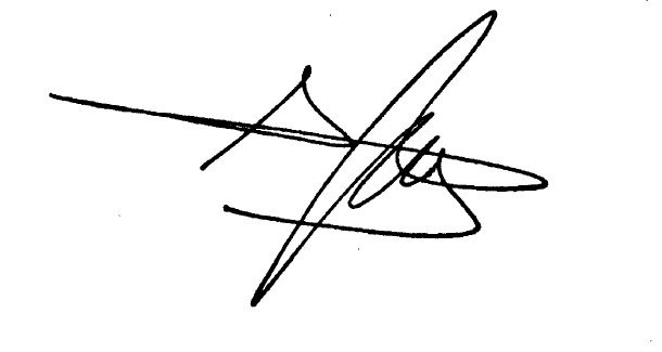 Josep Borrell Fontelles Signature