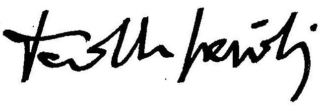 David Maria Sassoli Signature