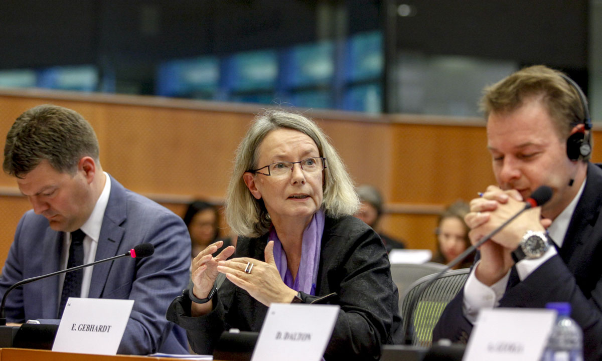 IMCO Working Group on Digital Single Market, 2015.jpg